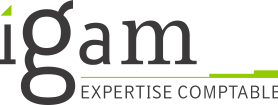 logo IGAM
